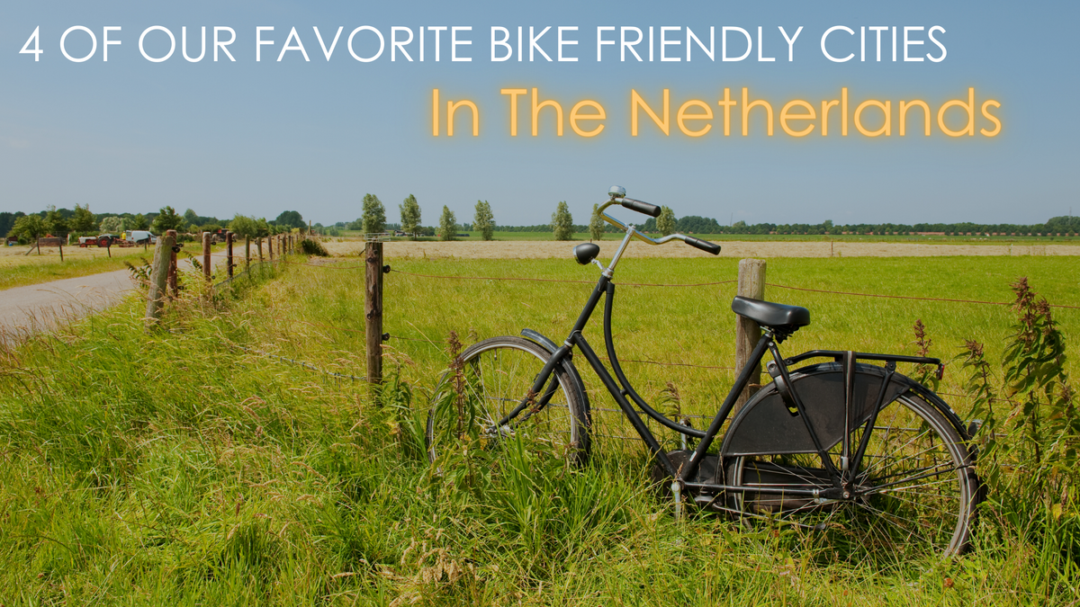 Dutch express bike 2025