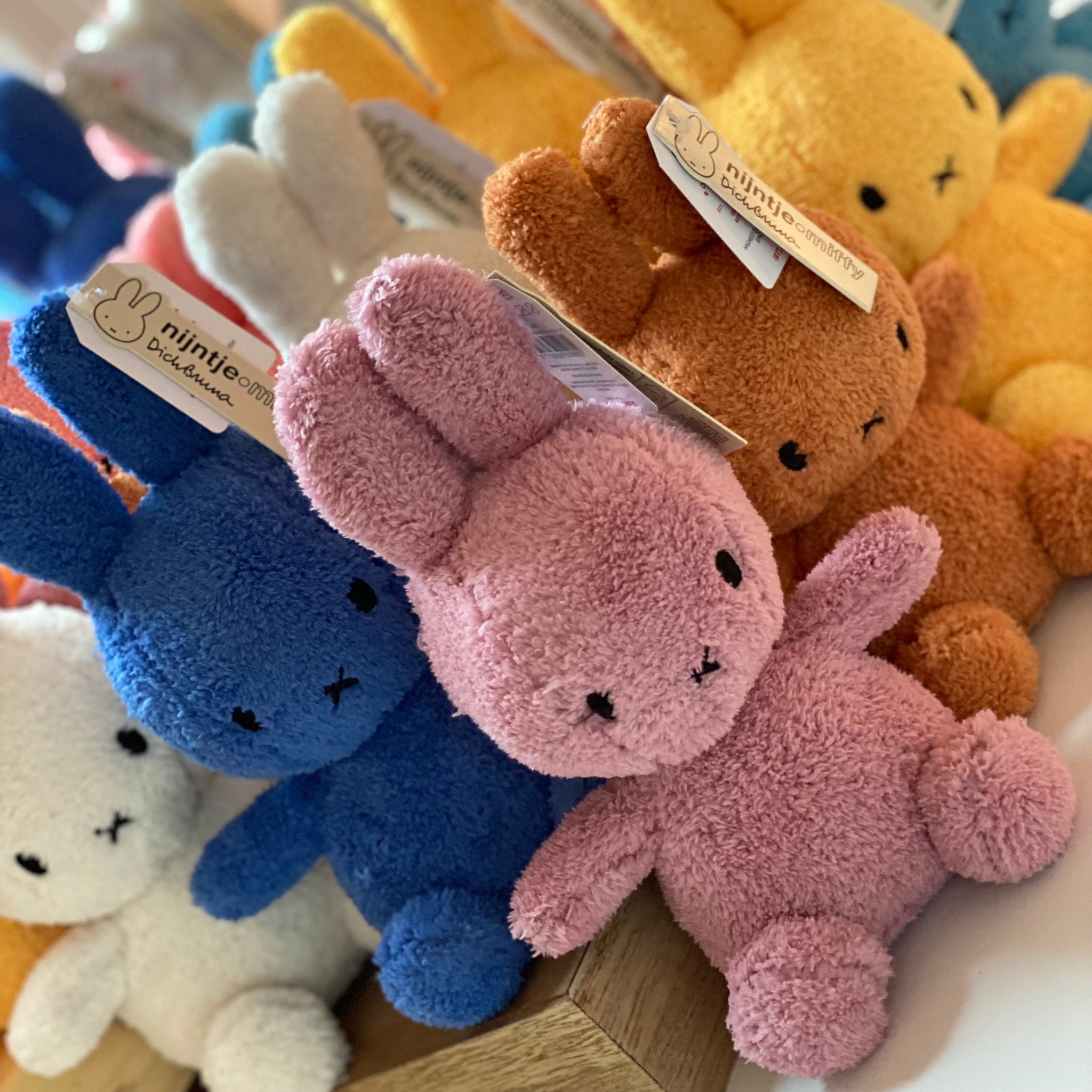 ぬいぐるみ Toyfi IMG_8562_2048x.jpg?v=1648482718