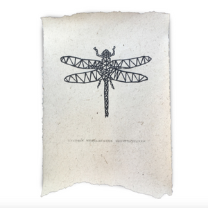 POSTER - DRAGONFLY - 2 sizes